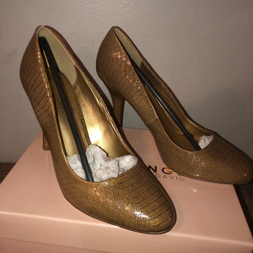 Exchange by Charles David pumps